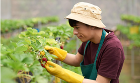 Hình ảnh Khóa học nông nghiệp